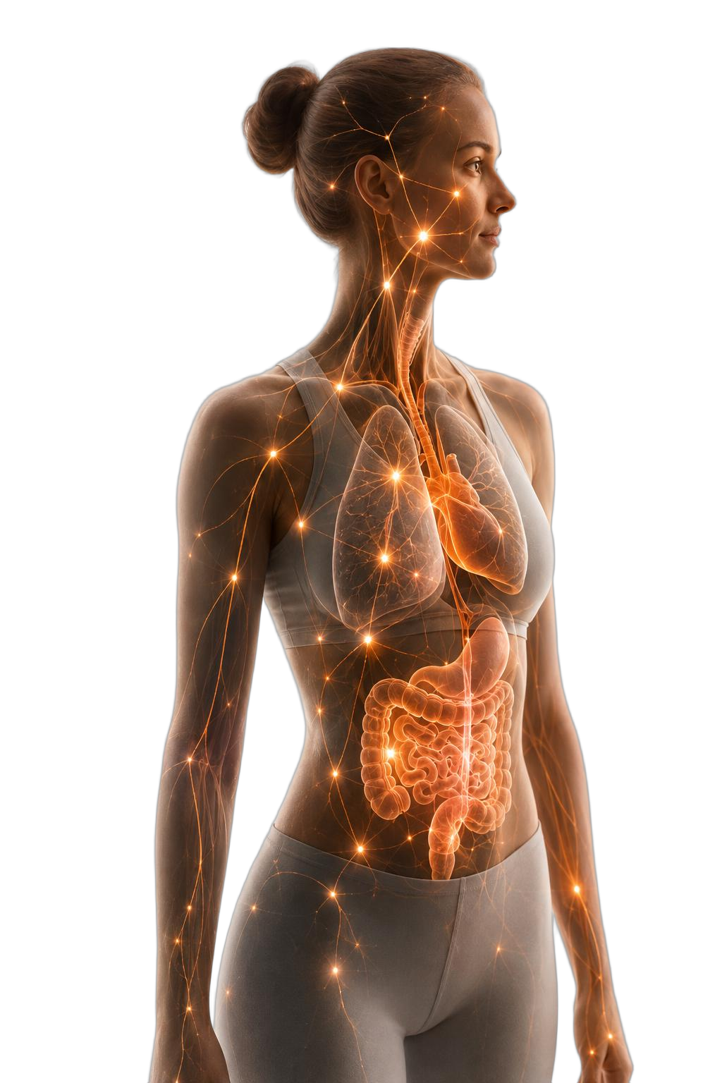 Illustration showing the connection between oral health and systems throughout the body